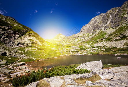 夏季山地景观图片