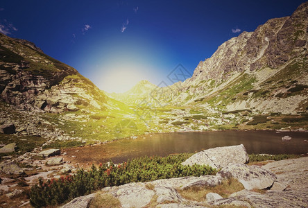 夏季山回风格景观图片