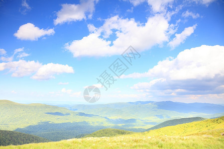 自然和环境油田山丘夏季区景观旅行和游图片