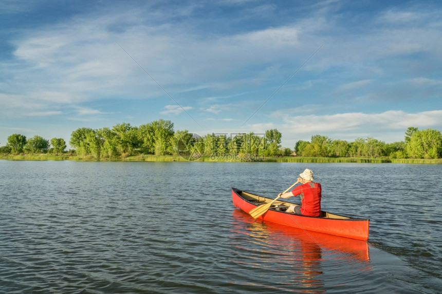在科罗拉多州柯林斯堡的当地湖上划一条红色独木舟图片