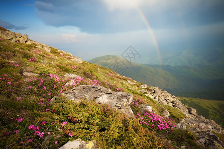 天空中彩虹的山丘全景图片