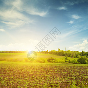 绿地上美丽的夕阳图片