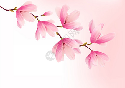 粉红色花朵的情人矢量背景图片