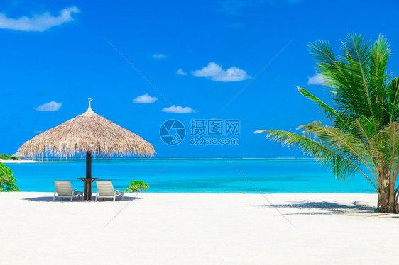 马尔代夫白热带海滩棕榈树和蓝环礁湖很少图片