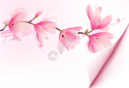 粉红色花朵矢量背景图片