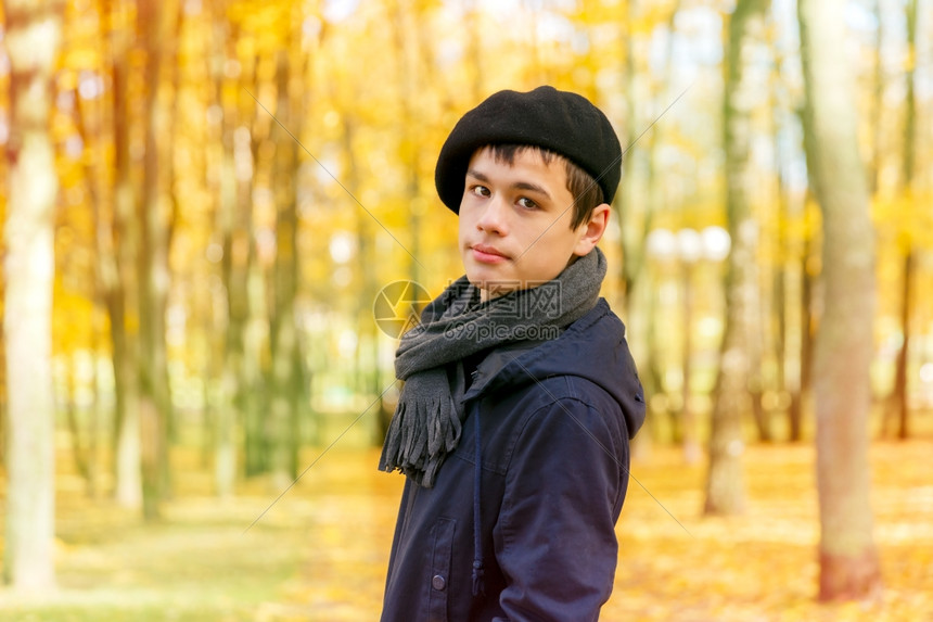 在秋天阳光明媚的公园里穿着帽子围巾和外套的十几岁男孩图片