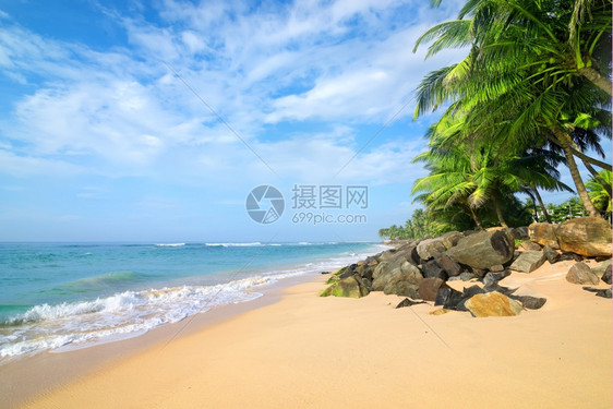 斯里兰卡Gala沙滩上的石头和棕榈树图片