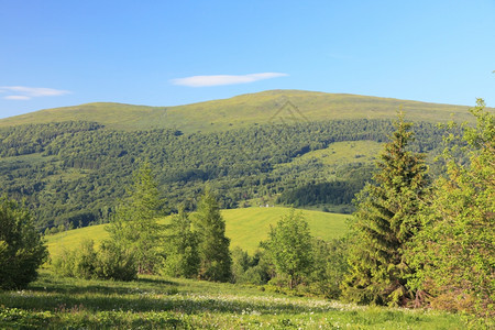 自然与环境绿色森林和山丘夏季区景观旅游和业图片