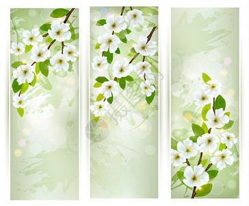 树枝上盛开的花朵矢量插图图片