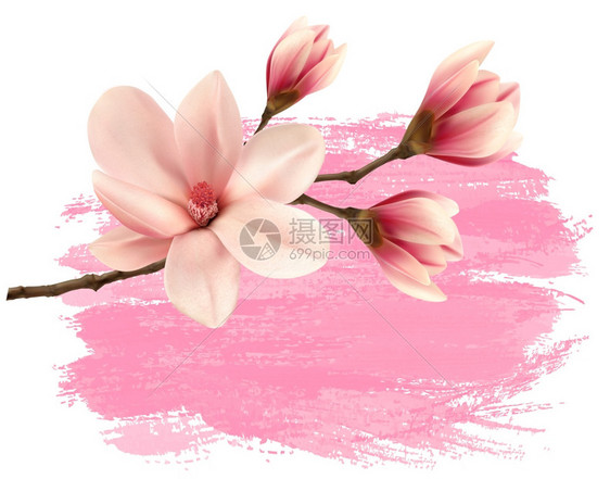 粉色背景删改的木兰树枝矢量背景图片