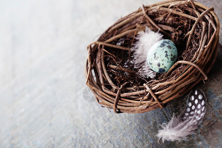 复活节配鸡蛋和在生锈木背景上筑巢的复活节成分图片
