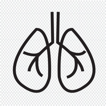 肺部图标图片