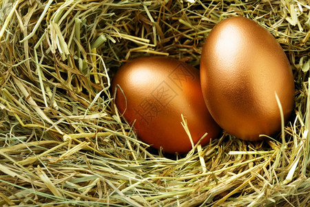 巢中两个金蛋紧闭图片