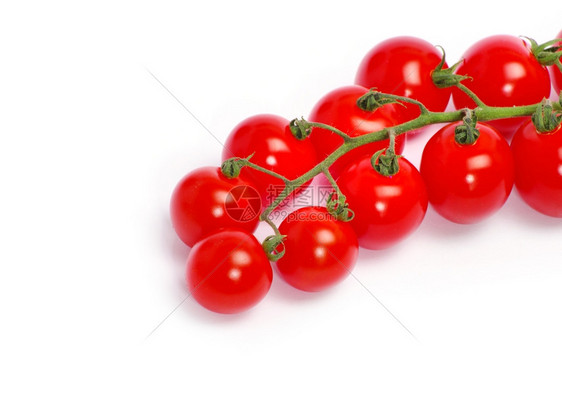 白背景孤立的绿叶西红柿图片