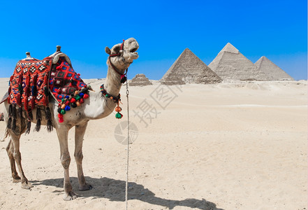 埃及开罗的金字塔和美丽吉萨天空高清图片