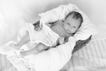 睡在韦杰篮子里的可爱2个月婴儿的黑白肖像图片