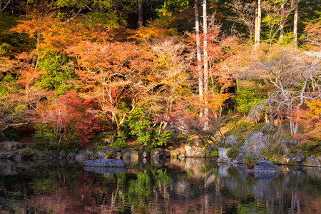 秋湖花园日本京都图片