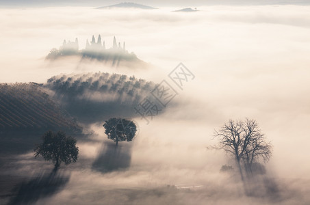 太阳升起在乡下雾的地貌托斯卡纳意大利欧洲图片