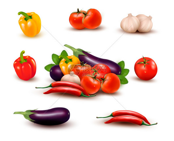 新鲜蔬菜健康饮食矢量插图图片