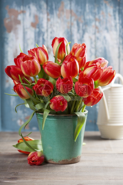 美丽的红色郁金香花束和木制桌上的花园工具图片