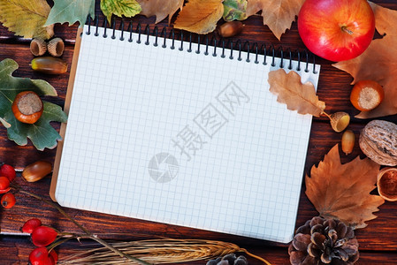 秋叶和空白的笔记本图片