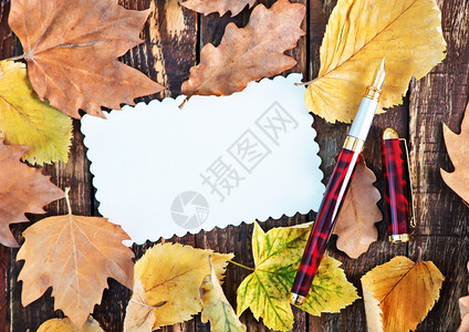 书与枫叶素材秋叶与钢笔背景