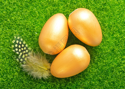 绿草坪上金色鸡蛋和羽毛背景图片