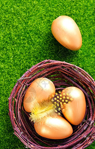 绿草坪上的鸟窝装着金色鸡蛋和羽毛图片