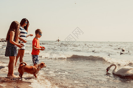 孩子们和妈在沙滩上玩得开心图片