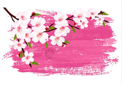 粉色涂料樱树矢量背景d图片