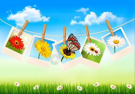 带有鲜花和蝴蝶照片的自然背景矢量插图图片