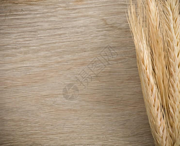 木本小麦的耳尖图片