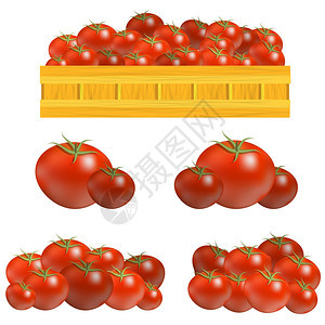 白色背景上孤立的一套新鲜红番茄图片