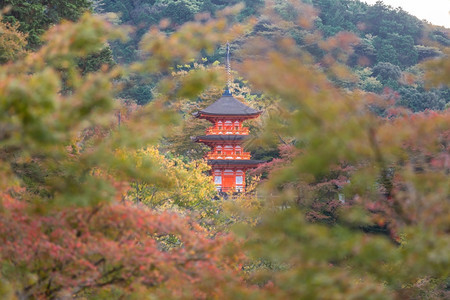 日本京都清水市寺图片