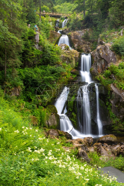 TribergFalls是德国黑森林中最高的瀑布之一图片