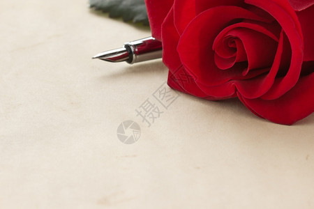免费下载照片  |红玫瑰印在纸背景上304169774免费下
