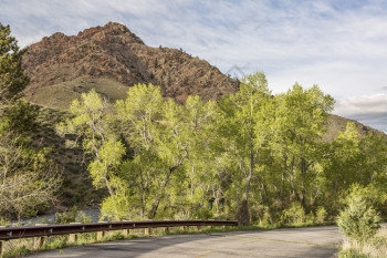 在科罗拉多州林斯堡附近CachelaPoudre河山峡谷的春天图片