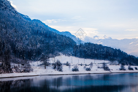 美妙的冬季风景美丽的冬季风景全天背图片