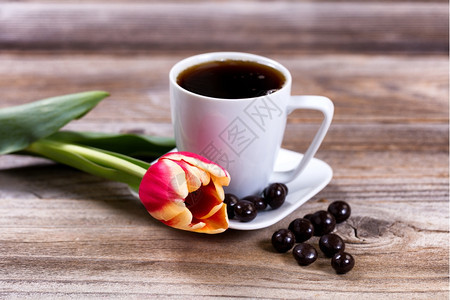 单郁金香在一杯咖啡前和黑巧克力在生锈的木头上选择地聚焦在花的前部图片