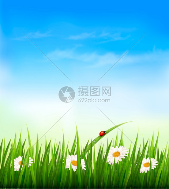 春天蓝色天空下的花朵草地和小虫矢量背景图片