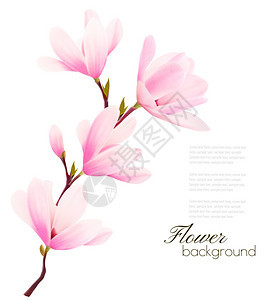 鲜花背景粉红色树枝矢量元素图片