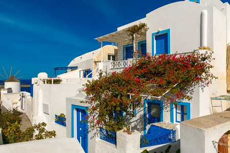 希腊圣托里尼岛Oia或IaOiaIa的白色和蓝房屋及风车的图片背景图片