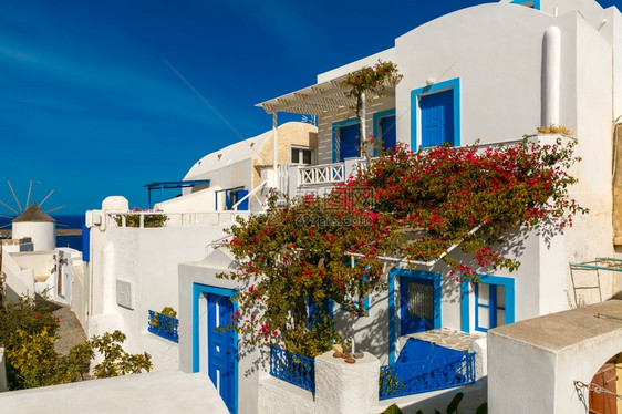 希腊圣托里尼岛Oia或IaOiaIa的白色和蓝房屋及风车的图片图片