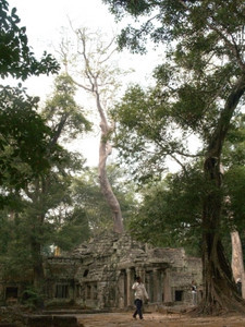 高棉建筑拜顿寺庙吴哥洞暹粒柬埔寨图片