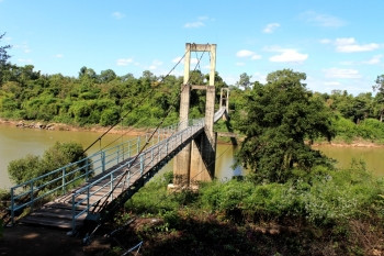 在雨林中横跨河流的悬吊桥图片