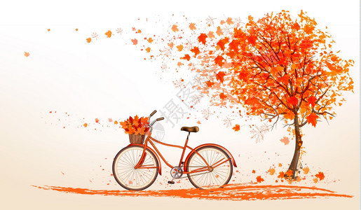 秋天树和自行车矢量背景图片