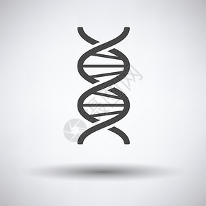 灰色背景上的DNA图标图片