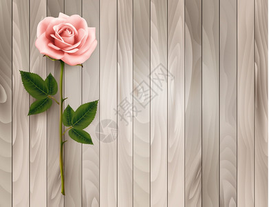 粉红色的一朵玫瑰挂在旧木制背景上图片