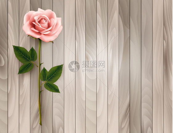 粉红色的一朵玫瑰挂在旧木制背景上图片