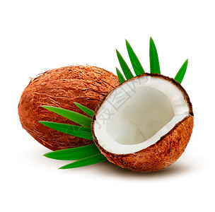 可可黄油插画- 可可黄油卡通-农场卡通圆形构图与图标集结合大圆矢量